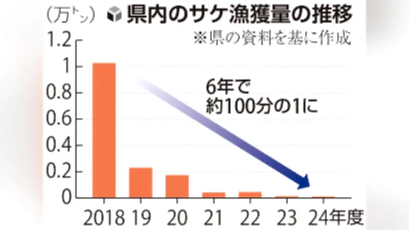 岩手県のサケ漁獲量が過去最低の117トンに 海水温上昇と餌減少が深刻な影響