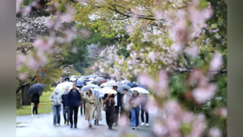 皇居・乾通りが3月21日から29日まで一般公開 桜の季節に合わせて9日間限定