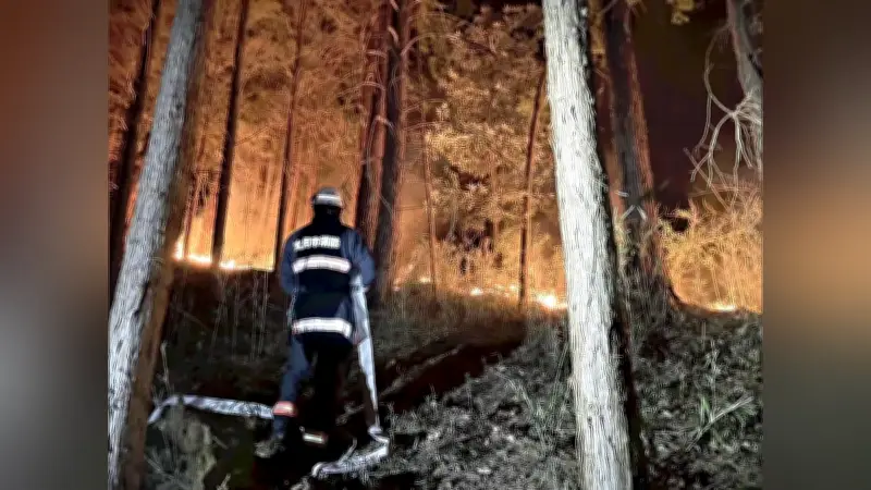 山梨県の山林火災が36日目で鎮火、約396ヘクタール焼失し消防隊員が軽傷