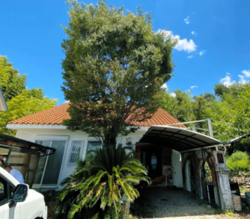 愛知・長久手市に中部初の「こどもホスピス」8月開設へ NPOが運営、空き家を活用