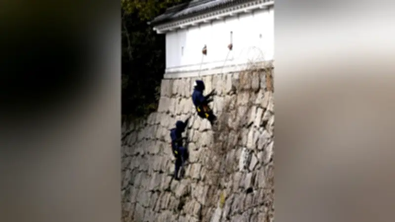 忍者姿で石垣の除草作業 甲賀市の水口城跡で冬の清掃イベント