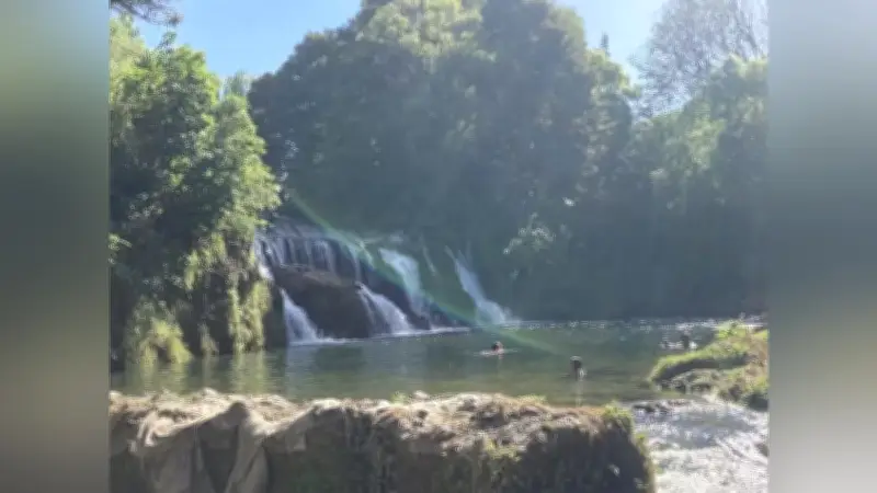 佐久長聖高校生がニュージーランドで固有種探究、トビタテ留学で学びを深める