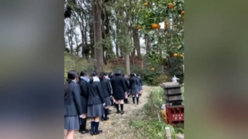 晃華学園高１が校内の森で冬の自然観察、コブシの冬芽や早咲き梅を発見