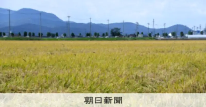 令和の米騒動の真相 農水省の需給誤算と南海トラフ地震情報が引き金に