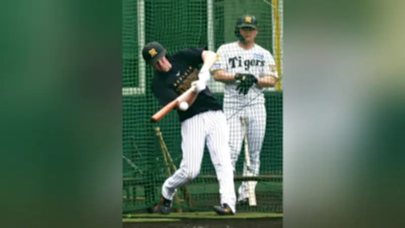 阪神タイガース、日本一へ向けたカギは６番打者…前川とディベイニーが激しい競争を展開