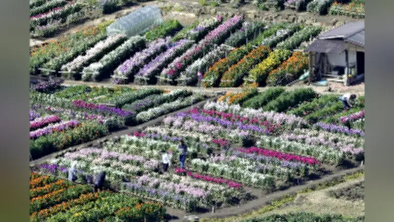 東京都内のマンションで火災発生、高齢女性が死亡…近隣住民が初期消火試みるも延焼