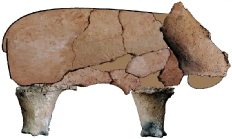 エジプト最古最大の土製カバ像発掘 埼玉・早大の学芸員らが祭祀の痕跡を解明