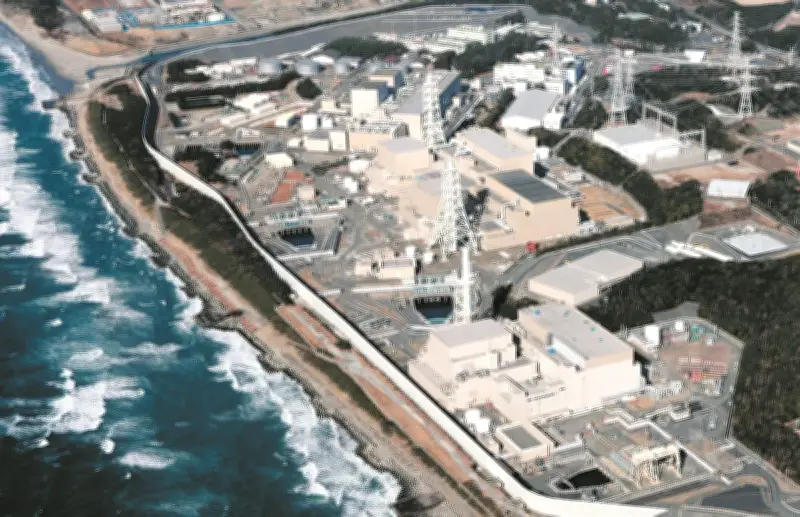 浜岡原発データねつ造問題、内部通報見逃しで発覚遅れる 中部電力の調査不備浮き彫り