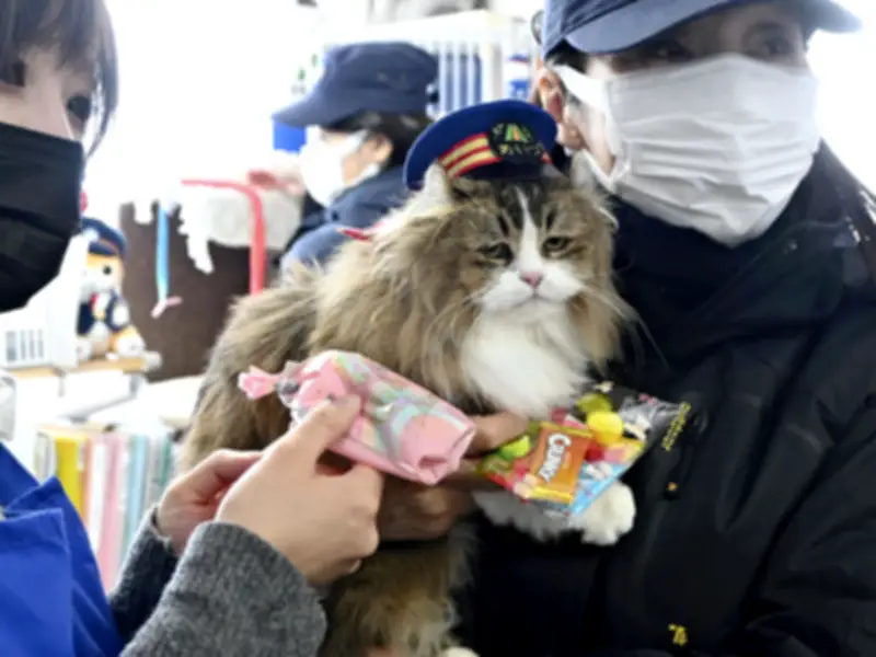 福島県で新たな避難指示解除へ 復興庁が特定復興再生拠点区域の見直しを発表