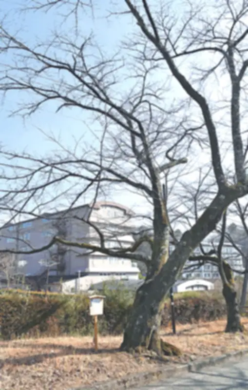 福島県の新たな観光プロジェクト、地域活性化へ向け本格始動