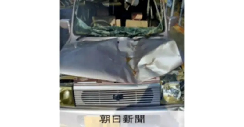 虹の松原の折れたマツ衝突事故で遺族が国・県・市を提訴、母親が行政のずさん管理を追及