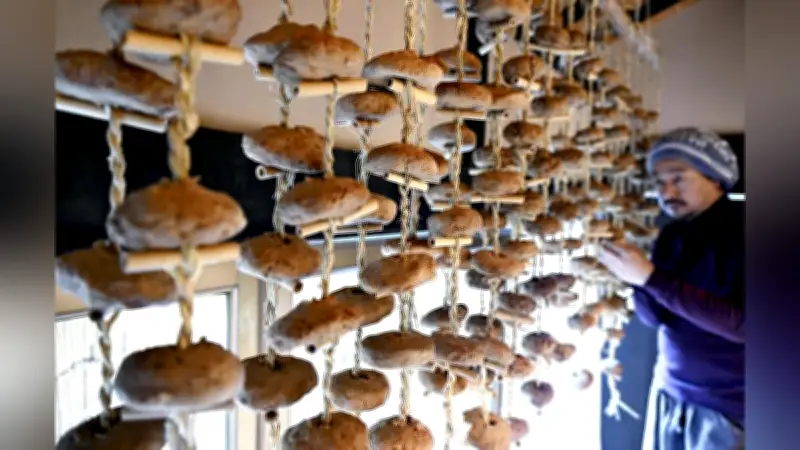 岐阜県関市の伝統食「玉みそ」製造最盛期、甘い香りとまろやかな後味が魅力