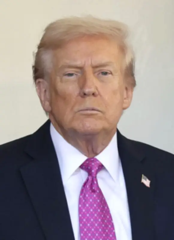 トランプ氏、日本の対米投資第１号案件を発表　エネルギー・重要鉱物３事業を選定