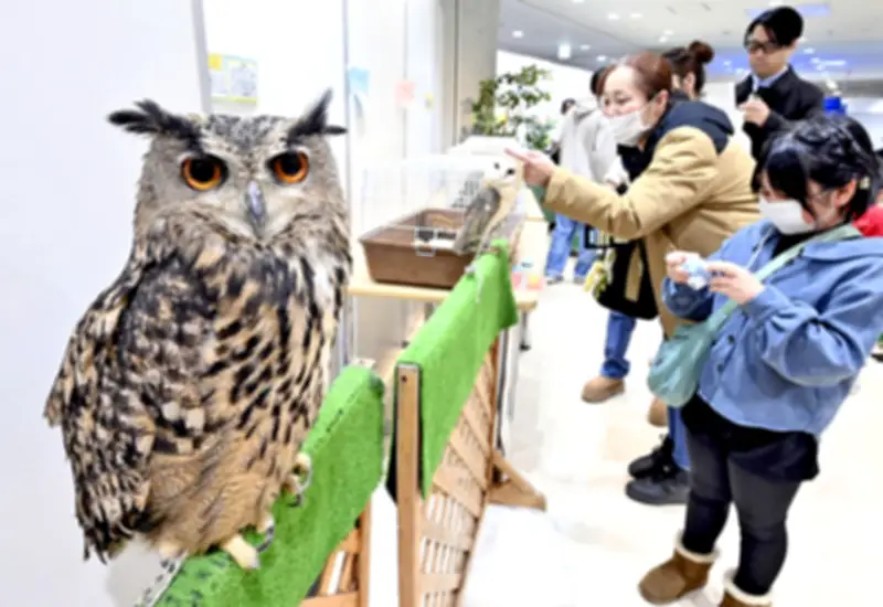 福島県の新たな観光戦略、地元の魅力を再発見し持続可能な地域活性化を目指す