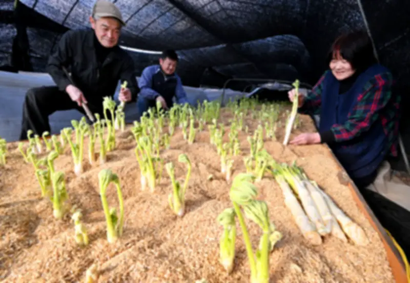 福島県の新たな観光プロジェクト「ふくしま未来ツーリズム」が始動、地域活性化を目指す