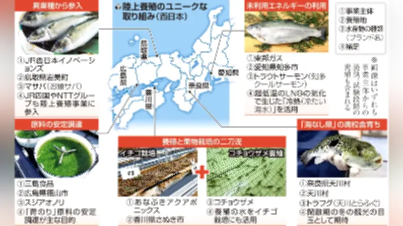 化粧品から鉄道まで異業種が続々参入 陸上養殖ブームで地域活性化と持続可能な漁業を目指す