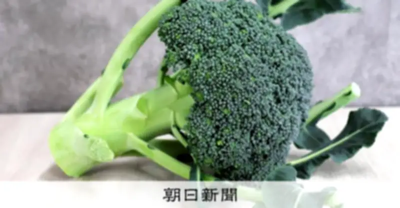 ブロッコリーの魅力を再発見！つぼみだけでなく茎まで味わい尽くす方法