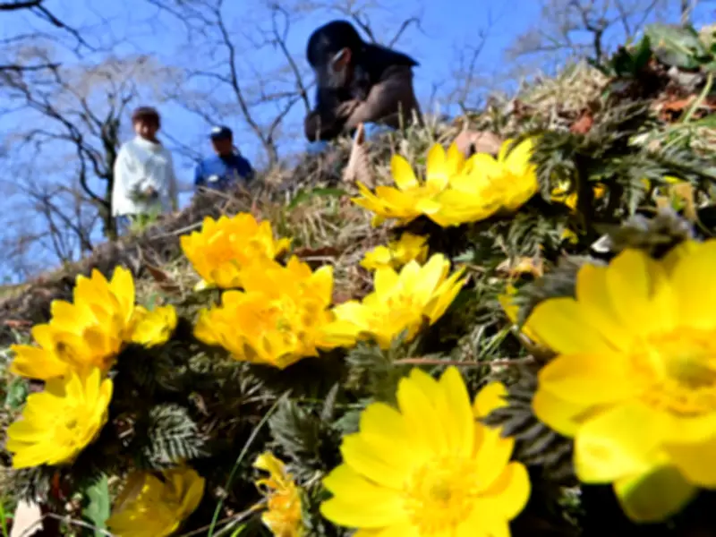 福島県の新たな観光戦略「ふくしま未来ツーリズム」が始動、地域活性化を目指す