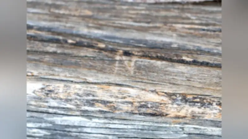 重要文化財・宇和島城天守に「Ｎ」の落書き、市長「到底許されざる行為」として警察に被害届