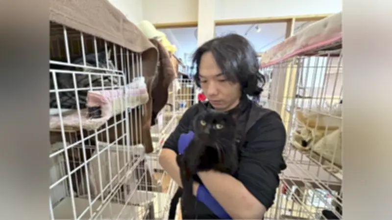 火災で猫舎を失った保護猫たち、猫の日に譲渡会開催…現在は避難所暮らし