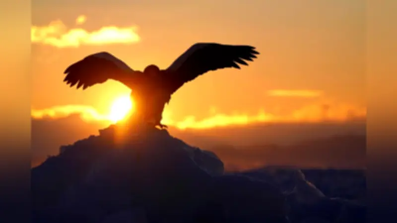 写真教室で学ぶ、プロの技術と表現の可能性を探る