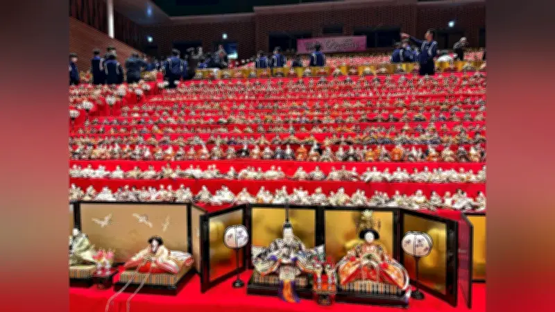 勝浦中学生がひな人形飾り付けを手伝う　「かつうらビッグひな祭り」開幕前に