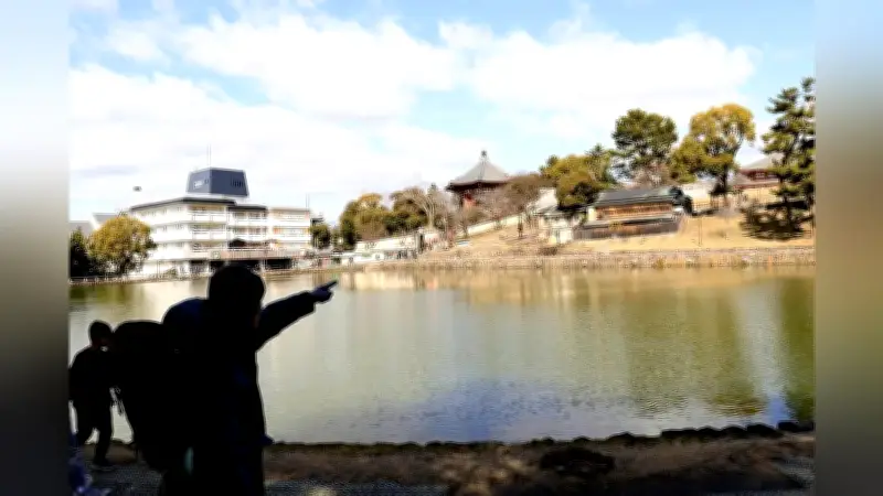 奈良市が猿沢池周辺で温泉脈調査へ 観光客の滞在時間延長と消費増を目指す