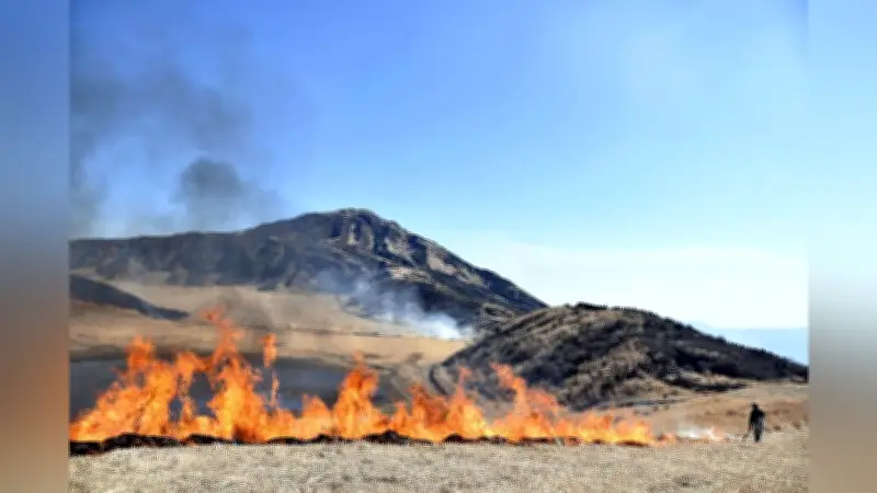 阿蘇山で春告げる野焼き実施 草千里ヶ浜にオレンジの炎が広がる