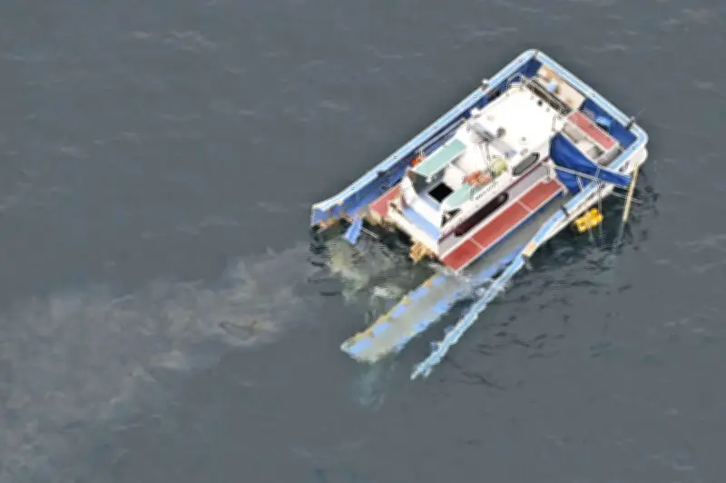 三重県鳥羽市沖遊漁船事故、調査官が現場到着し原因究明を本格化