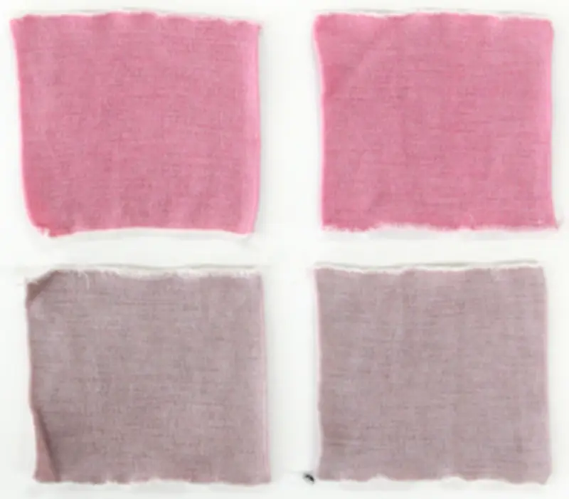 二本松の菊人形廃棄菊花を活用、岳温泉の酸性泉で新たな染色技術を開発