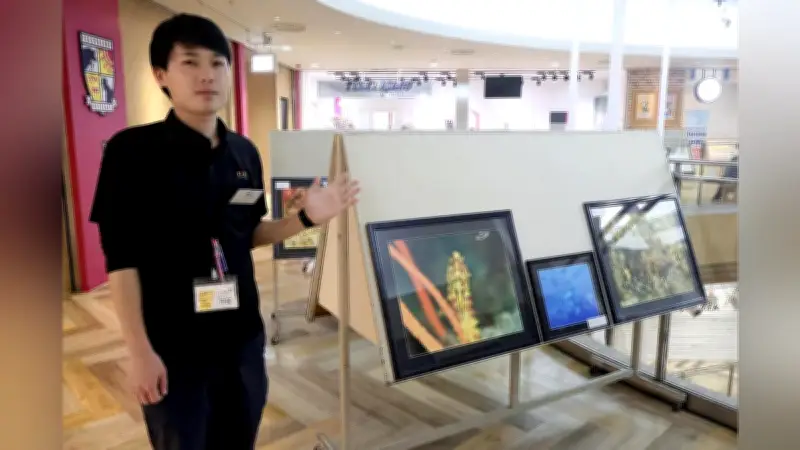 日南海岸の海中世界を写真で紹介　サンゴ保全の写真展が宮崎市で開催