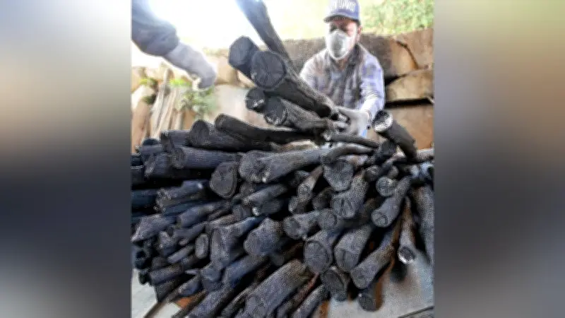 伝統の一庫炭づくり、兵庫・川西の黒川地区で今も継承される菊炭の技