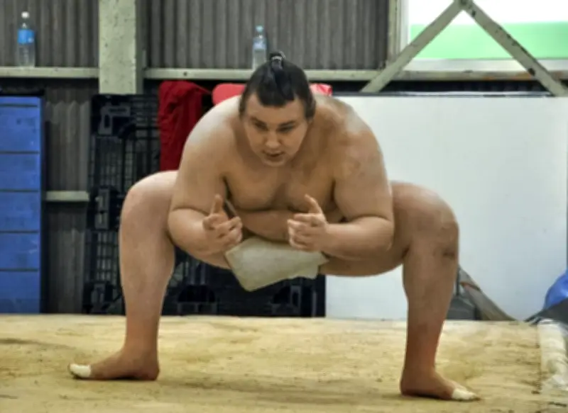 大関安青錦、大阪で春場所へ向け初稽古 綱とりへ強い覚悟を表明