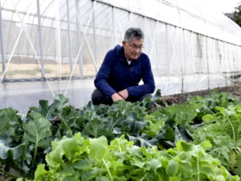 福島県で新たな放射性物質の漏洩が確認、周辺環境への影響調査を開始