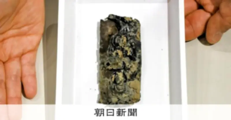 平城京跡で押出仏や木簡発見 東大寺大仏開眼会との関連性も浮上