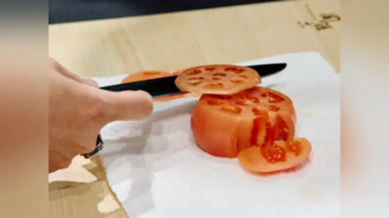 切れ味鋭い包丁で料理の味わい向上！貝印マイスターが伝授する家庭での研ぎの極意