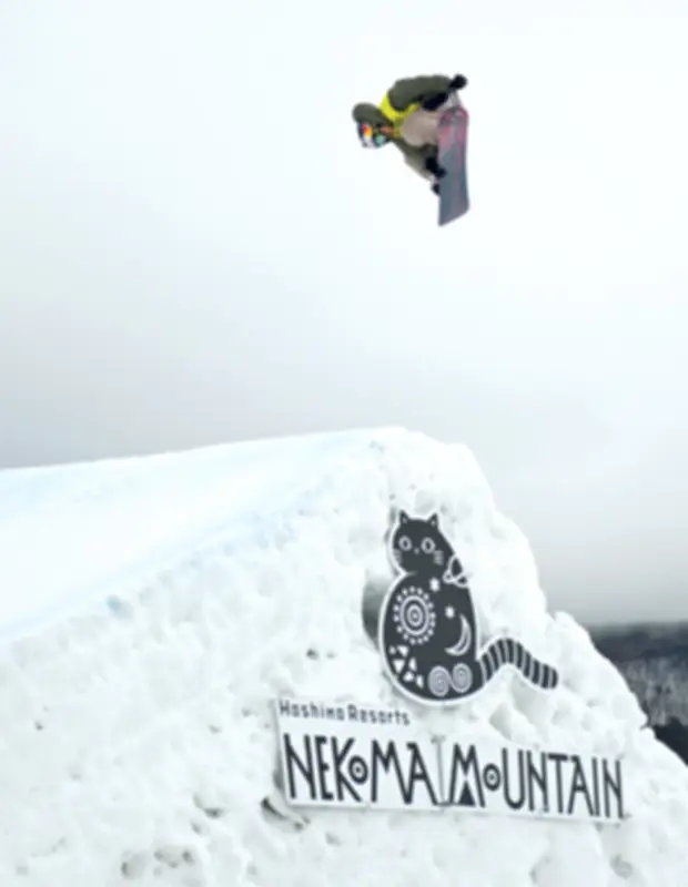 福島県の新たな観光戦略、デジタル技術を活用した地域活性化を推進