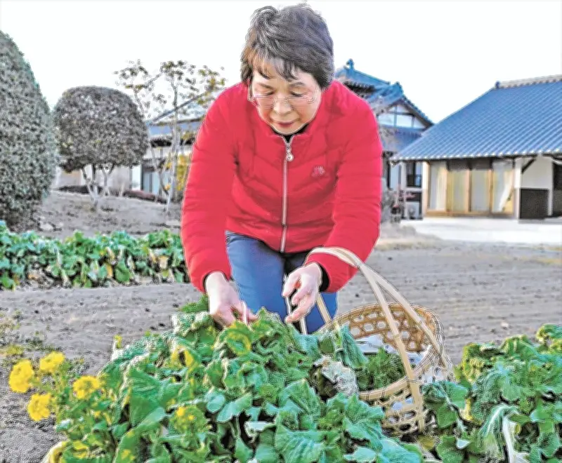 福島県の新たな観光プロジェクトが始動、地域活性化へ期待高まる