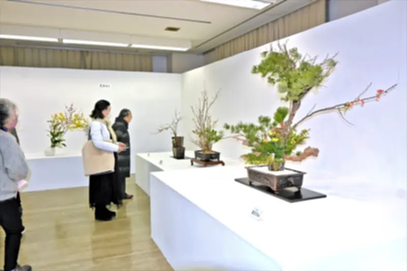 早春の花々が会場を彩る 龍生派会津支部いけばな展が福島県会津若松市で開催中