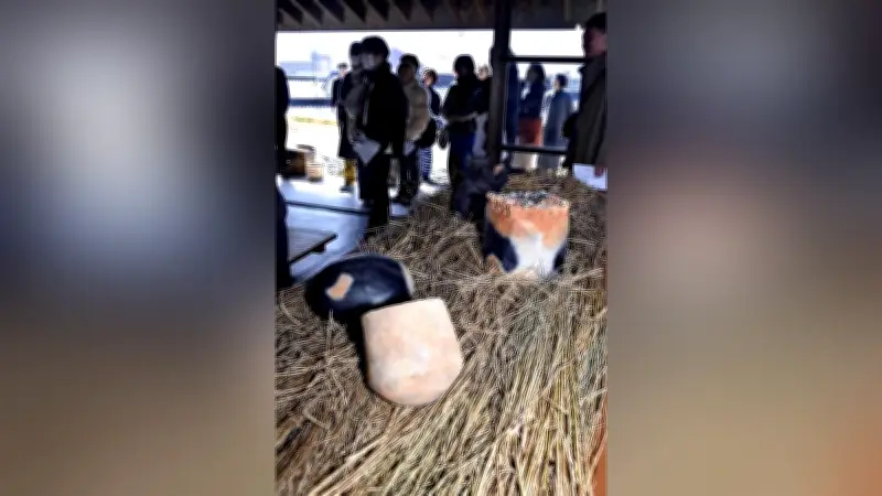 焼き物の原点「野焼き」をテーマにした展覧会が愛知県常滑市で開催中