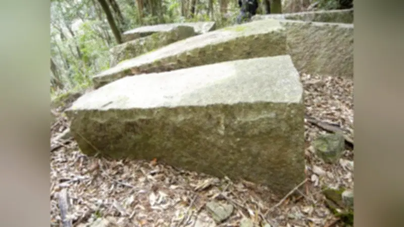 三重・尾鷲の「曽根石」調査報告会 江戸時代の御用石の歴史と採石手法を解明