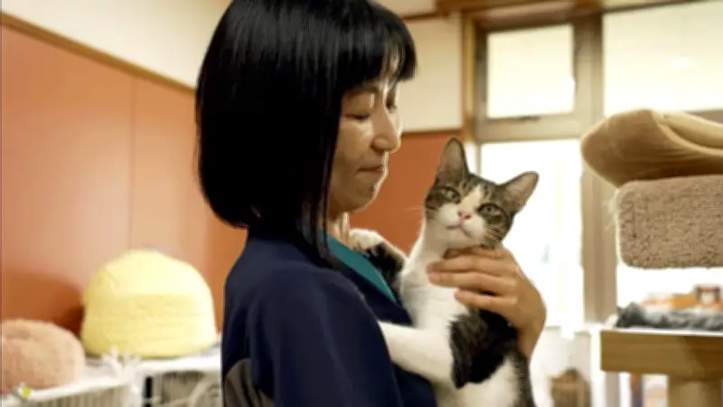 NHK大河ドラマ『信長燃ゆ』視聴率が急上昇、第5話で19.8%を記録