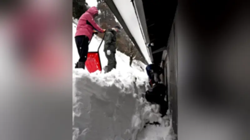 窓ガラス割れる豪雪、住民窮状SNSで発信 ボランティア12人が山間部に駆け付け雪かき