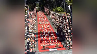 静岡・東伊豆で118段の石段に600体のひな人形がずらり、展示段数日本一の壮観