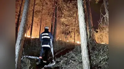 山梨県の山林火災が36日目で鎮火、約396ヘクタール焼失し消防隊員が軽傷