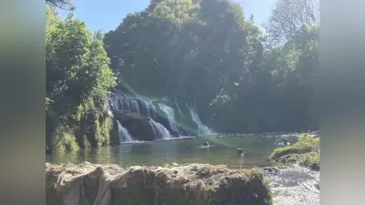 佐久長聖高校生がニュージーランドで固有種探究、トビタテ留学で学びを深める