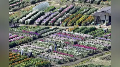 東京都内のマンションで火災発生、高齢女性が死亡…近隣住民が初期消火試みるも延焼
