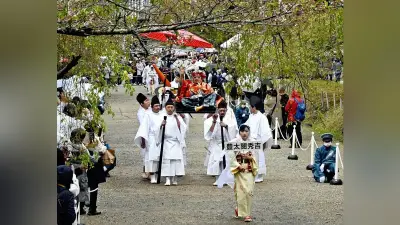 醍醐寺の豊太閤花見行列、今春は開催見送り 桜の開花早まり費用高騰で見直し