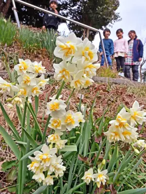 福島県の新たな観光戦略、伝統文化と自然を融合した体験型ツアーを推進