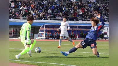 湯沢市で犬っこまつり開催 愛犬の健康祈願に多くの飼い主が訪れる